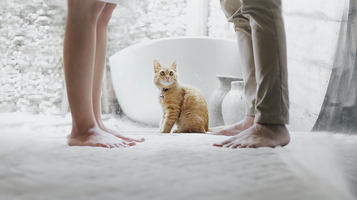 partial view of what appears to be a couple standing with a pet between them