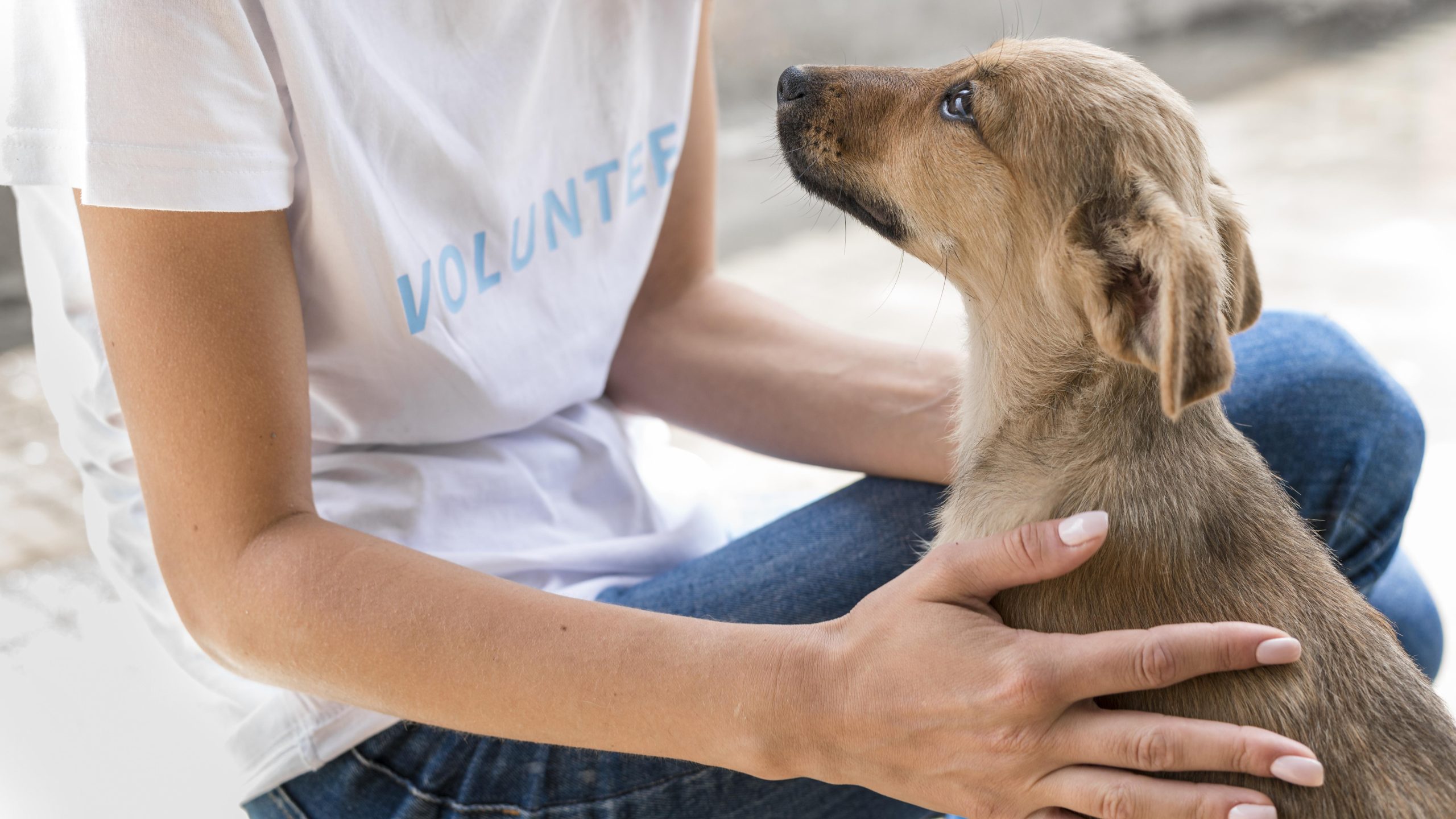 rescue dog sharing affection with shelter volunteer